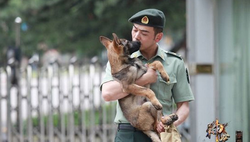 《神犬奇兵》曝片尾曲 黄征为萌犬深情献唱