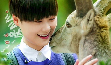 奇妙的朋友第1期:萌星萌宠初接触 高冷女神玩颠覆